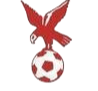 https://img.yingsart.com/img/football/team/4802d26df935b78bb2fcdbbff36e8864.png